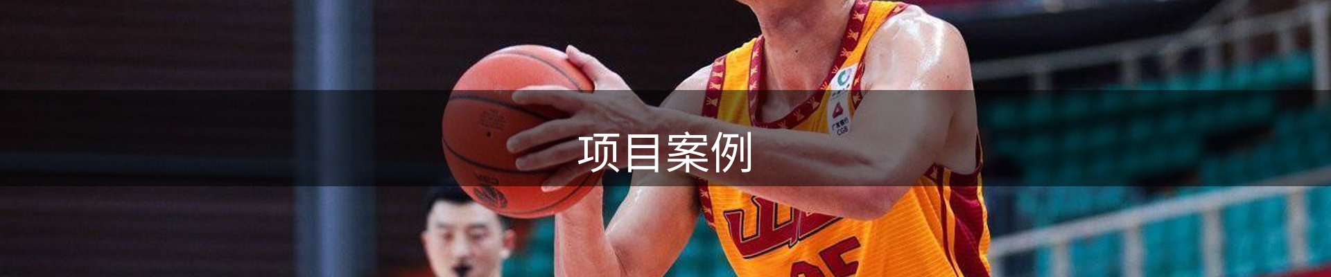 项目案例